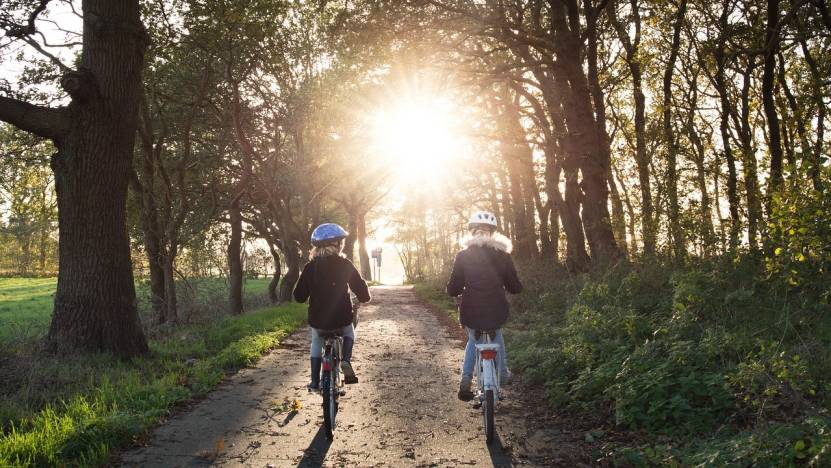 Two individuals biking on a forest path, with trees lining both sides.